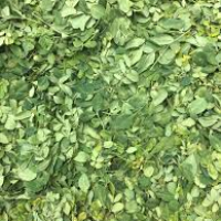 Moringa Leaves (Air Dried)