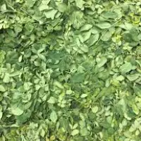 Moringa Leaves (Air Dried)