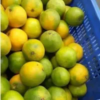 Fresh Lemon