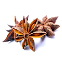 Anise