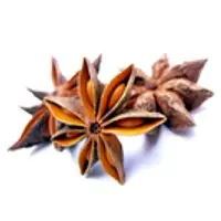 Anise