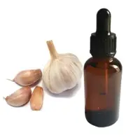 Garlic Essential Oil
