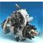 Fuel injection pump