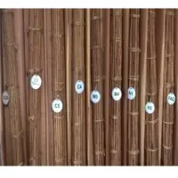 Cinnamon Bark