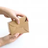 Kraft Folding Carton For Wholesale