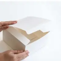 White Folding Carton For food