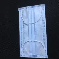 3 Ply Face Mask