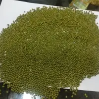 Moong Beans Bold