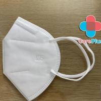 N95 Mask