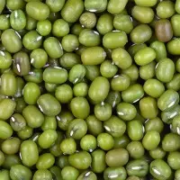 Green bean