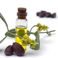 Jojoba Oil - Natural Cold Pressed