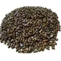 Cassia Tora
