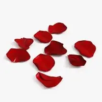 Rose Petal