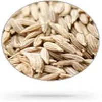 Cumin