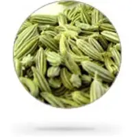 Fennel Seed