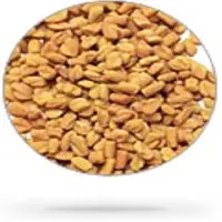 Fenugreek Seeds