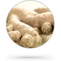 Dry Ginger