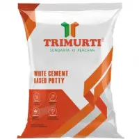 Wall Putty