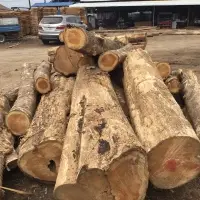 Round Teak Wood