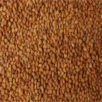 Desi Chickpeas