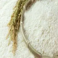 Long Grain Rice