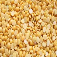 Pigeon Pea
