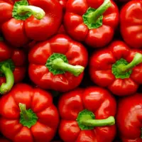 Capsicums Coloured Chilly Peppers