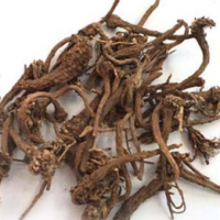 Akarkara Herbal Root