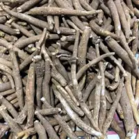 Aswaganda Roots -1- Indian Ginseng