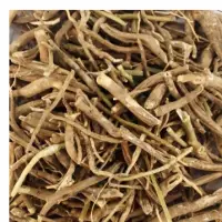 Aswagandha No.1 Quality