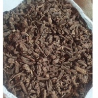Costus Root 9