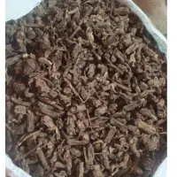 Costus Root 9