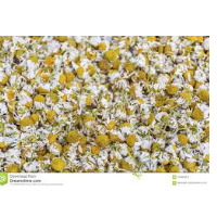 Dried Chamomile Flowers