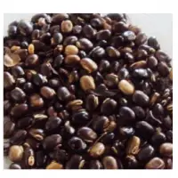 Kaunch Beej Black