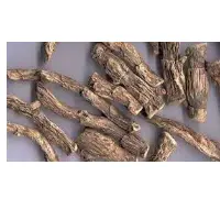 Dried Vasambu- Acorus Calamus