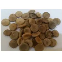 Ettikottai Nux Vomica