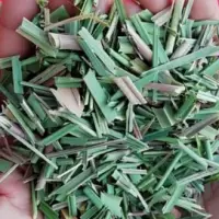 Lemon Grass