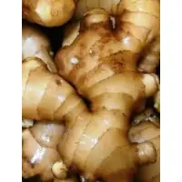 Ginger - Farm Fresh