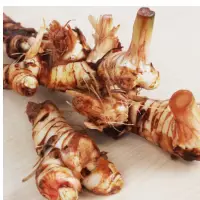 Galangal Root Sithrathai