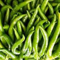 Green Chilly Fresh