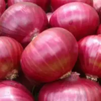 Onion Red