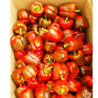 Veg- Bel Pepper Or Capsicum Red