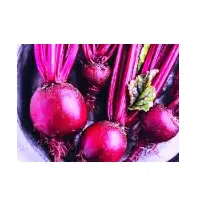 Beet Root