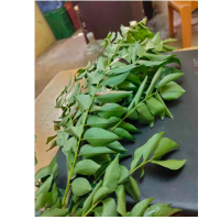 Curry Leaves MK-KBD3