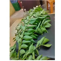 Curry Leaves MK-KBD3
