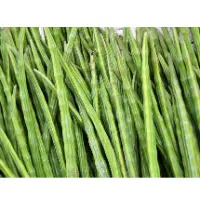 Drum Stick Veg-Moringa