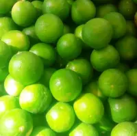 Fresh Lemon