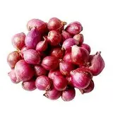 Onion Sambar (shellot) Fresh