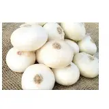 Onion White