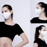 The Face Mask
